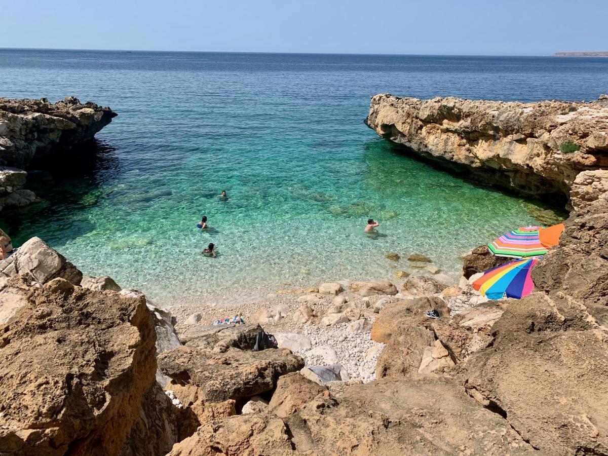 L'Oasi Una Pineta Sul Mare Custonaci Extérieur photo