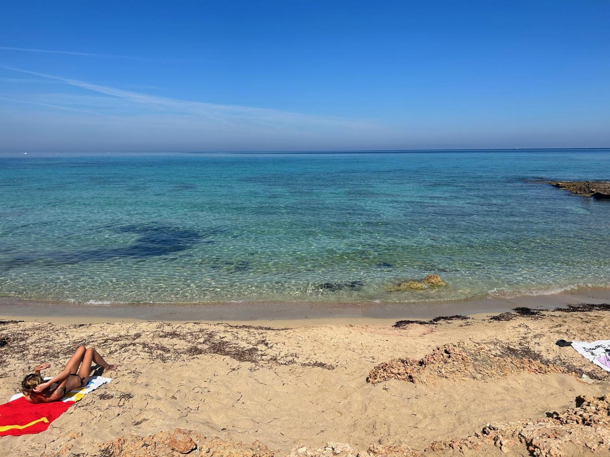 L'Oasi Una Pineta Sul Mare Custonaci Extérieur photo