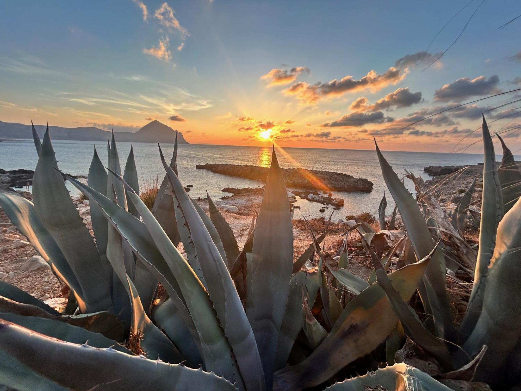 L'Oasi Una Pineta Sul Mare Custonaci Extérieur photo