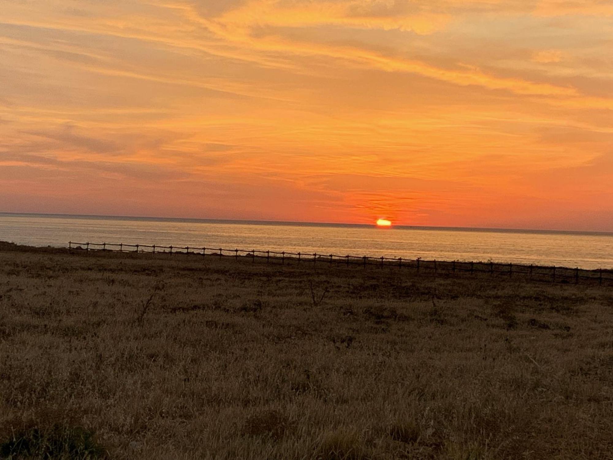 L'Oasi Una Pineta Sul Mare Custonaci Extérieur photo